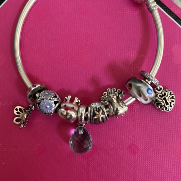 Pandora Bangle Bracelet with 8 charms - Picture 5 of 5